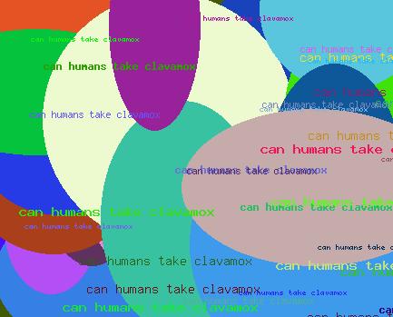 CAN HUMANS TAKE CLAVAMOX