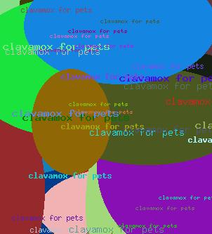 Clavamox For Pets