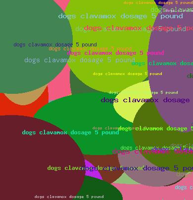 Dogs Clwvamox Dosage 5 Pound